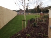 Aston Hall Tree Planting