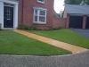 New home building site turfing and planting scheme