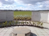 Planted Area