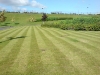 Grass Cutting