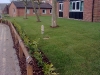 Commercial Planting & Turfing