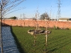 Planting Trees & Turfing