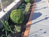 Completed_feature_planting_bed