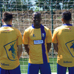 Stags Kit