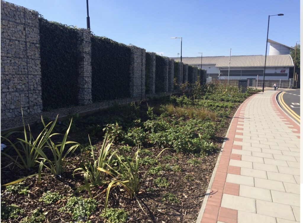 Stone gabion retaining wall integrated with green climbing plants and landscaped flower beds beside a paved walkway in Derbyshire.